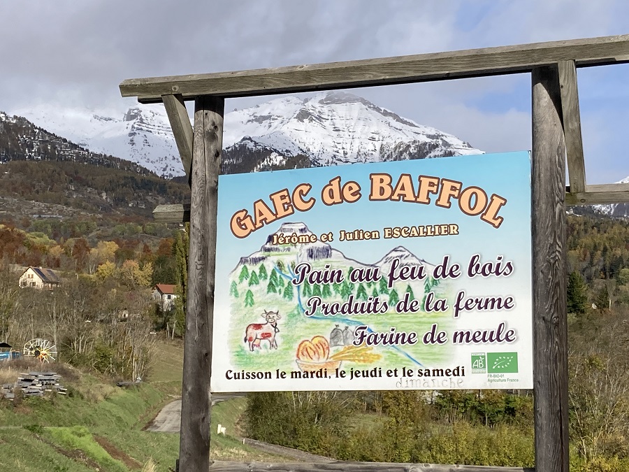 Gaec Baffol agriculture biologique farine de meule blés de pays blés anciens bio 900 pain au levain naturel