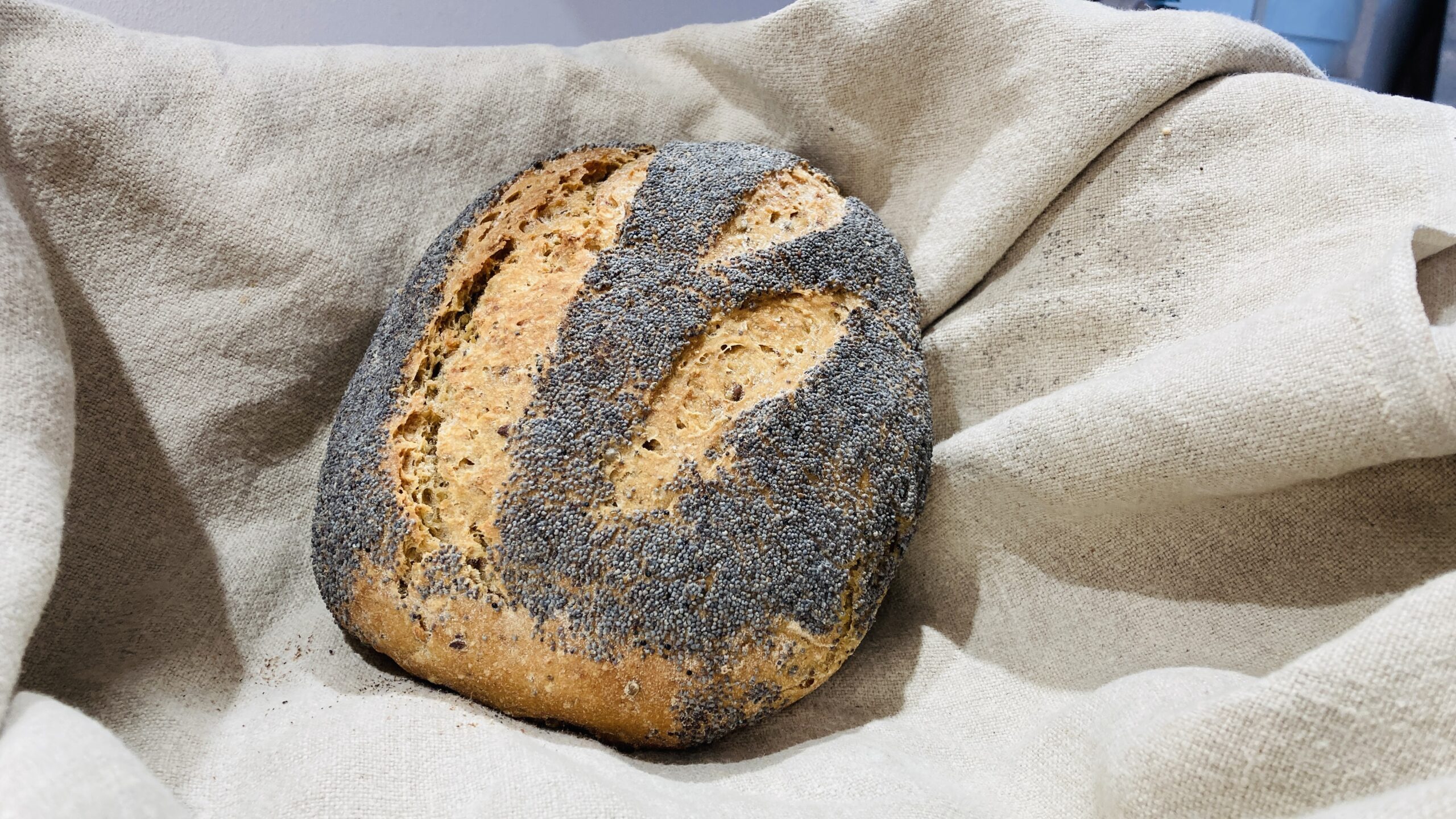 -Pain du moment: nutrition graines, forme "batard" 500g